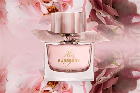 burberry blush makeup|My Burberry Blush For Her: Everything You Need To Know.